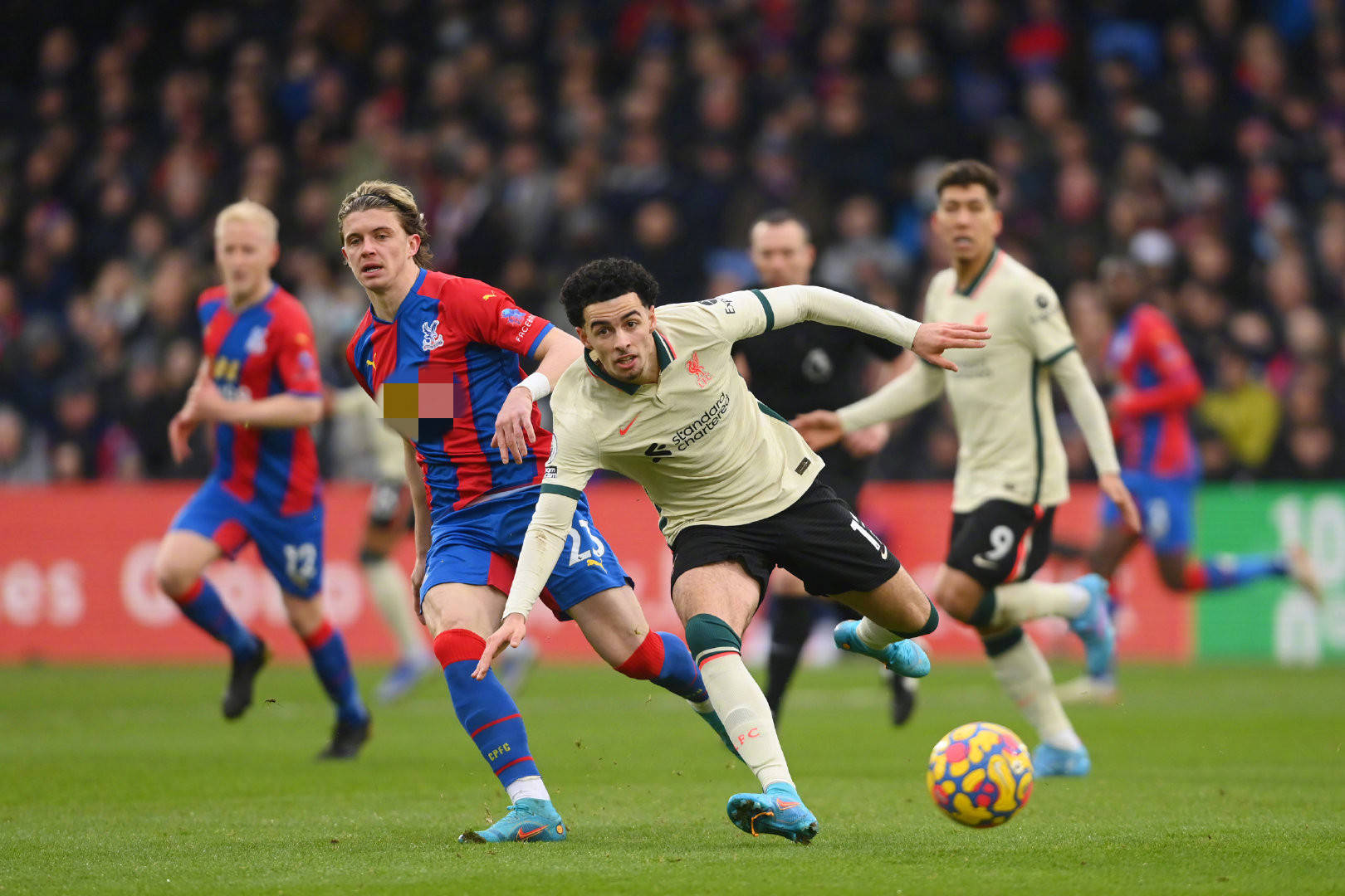 仅在足球圈 仅在足球圈